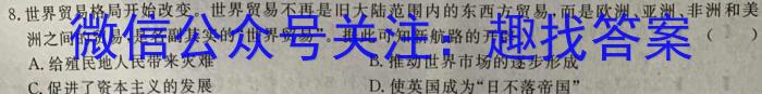 智慧上进2022-2023学年高三年级二轮复习阶段性检测历史