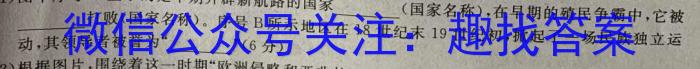 安徽省九年级2024-2023学年新课标闯关卷（十五）AH&政治