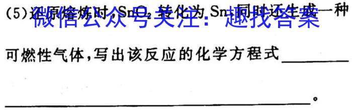 一步之遥 2023年河北省初中综合复*质量检测(五)5化学