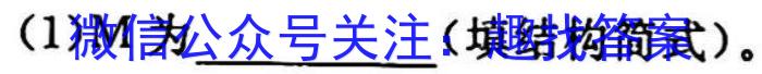 [阳光启学]2023届全国统一考试标准模拟信息卷(十二)12化学