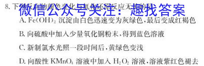 广东省揭阳市惠来县2023届九年级第一学期期末质量检测化学