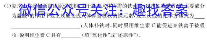 安徽第一卷·2023年中考安徽名校大联考试卷（一）B卷化学