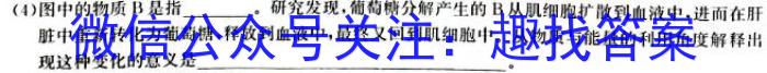 2023年河北省初中毕业班升学文化课模拟测评（六）生物