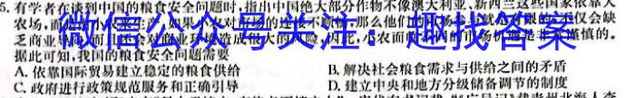 2024-2023学年山西省双减学情调研检测卷（一）历史