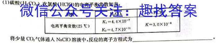 皖智教育安徽第一卷·2023年安徽中考第一轮复习试卷(十)化学