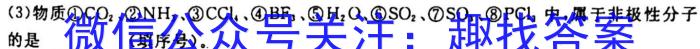 2023年江西省上饶市中考模拟冲刺卷化学