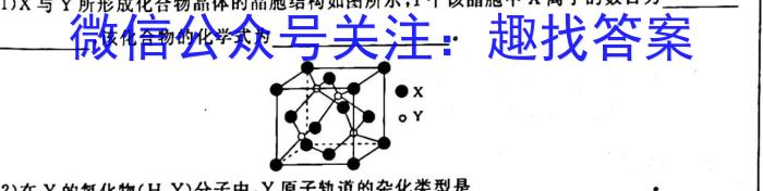 2023届安徽省淮北市高三年级第一次模拟考试化学