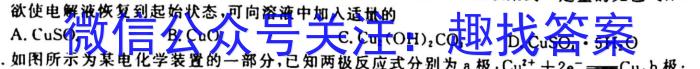 中考必刷卷·安徽省2023年安徽中考第一轮复习卷(八)8化学