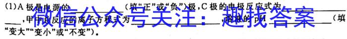 江西省2024-2023学年高三年级二轮复习阶段性测试化学