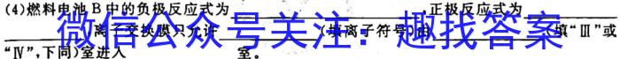黑龙江省SL2024~2023学年度下学期高二开学初考试卷(3305B)化学