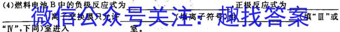 安徽省江淮教育联盟2022-2023学年第二学期的九年级第一次联考化学