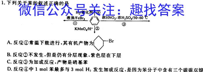 2023年河南省普通高中毕业班高考适应性测试化学