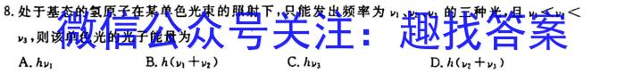 安徽省中考必刷卷·2023年名校内部卷（一）q物理