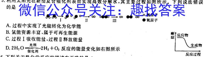 凤庆县2022-2023学年上学期九年级期末阶段性教学水平诊断监测(23-CZ70c)化学