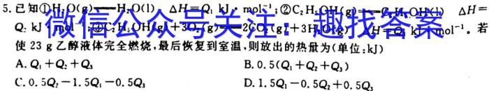 河南省安阳市2023届九年级初中毕业班中考适应性测试化学