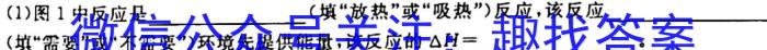 2023届陕西高三年级3月联考（⬆️）化学