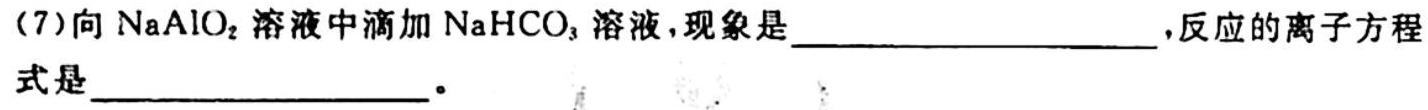 陕西省2023届澄城县九年级摸底考试A版化学试题及答案