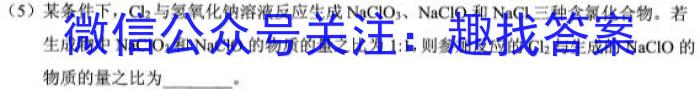 安徽省九年级2022-2023学年新课标闯关卷（十四）AH化学