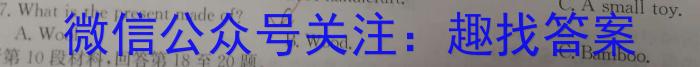 2023年全国新高考冲刺压轴卷(四)4英语