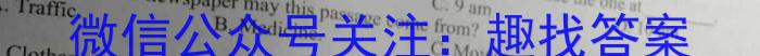 安师联盟2023年中考权威预测模拟考试（二）英语