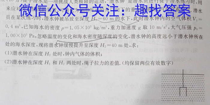 炎德英才大联考 长郡中学2023年高二寒假作业检测试卷物理`