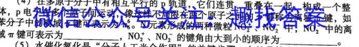2023年普通高等学校招生全国统一考试金卷仿真密卷(十一)11 23新高考·JJ·FZMJ化学