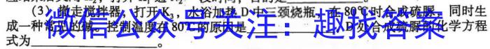 安徽第一卷·2023年安徽中考信息交流试卷（六）化学