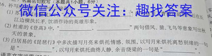 江西省2023届九年级江西中考总复习模拟卷（二）语文