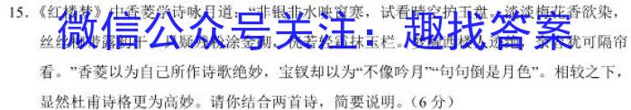 安徽省2022-2023学年度八年级下学期期中综合评估（6LR）语文