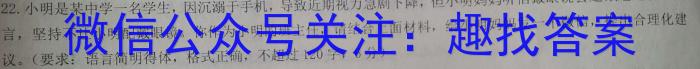 2023年河北省新高考模拟卷（五）语文