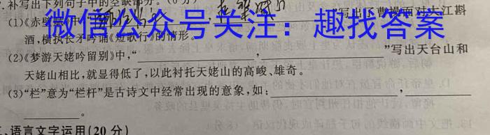 2023年普通高等学校招生全国统一考试考前演练一1(全国卷)语文