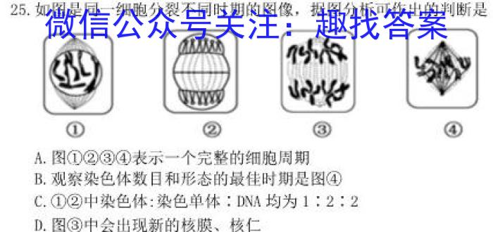 2022-2023学年湖北省高一3月联考(23-346A)生物试卷答案