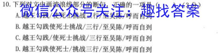 2023年河南省九年级第六届名校联盟考（23-CZ122c）语文