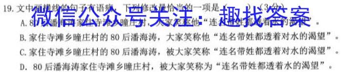 九师联盟 2022~2023学年高三核心模拟卷(下)四语文