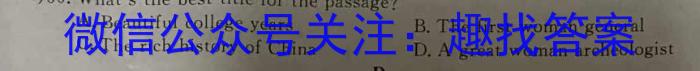 安师联盟2023年中考权威预测模拟考试（四）英语