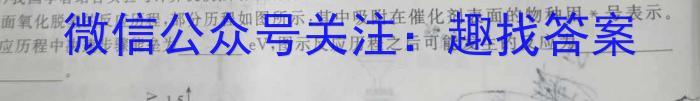 江西省2023年九年级第一次学习效果检测化学