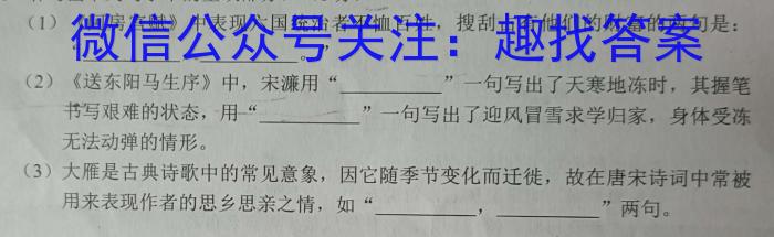 江西省2023年初中学业水平模拟考试（四）语文