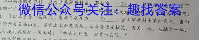 河南省2022-2023学年中原名校中考联盟测评（二）语文