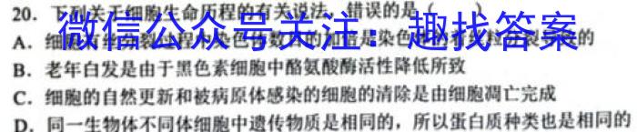 2023普通高等学校招生全国统一考试 名师原创·冲刺预测卷(六)6生物试卷答案
