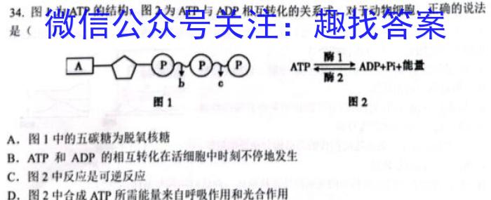 2023届广东联考高三年级2月联考（23-319C）生物
