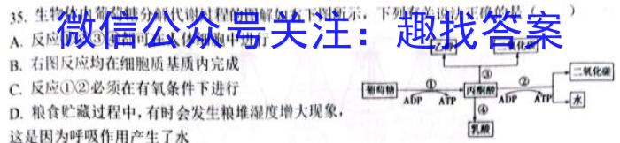 山西省2025届高一金科大联考3月考试生物