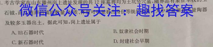 安徽第一卷·2023年中考安徽名校大联考试卷（一）B卷历史