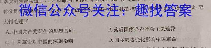 安徽省2024届芜湖市高二上学期期末学情检测（23-261B）历史