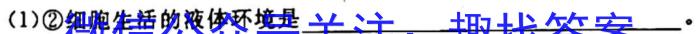 衡中同卷·2023届信息卷(一)1全国A卷生物试卷答案