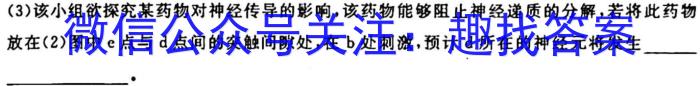 南宁市2024-2023高二上学期期末生物