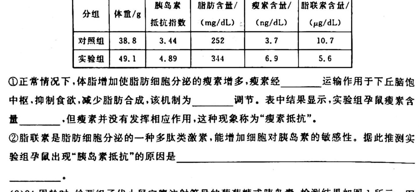 2023届高三全国百万联考(4001C)生物
