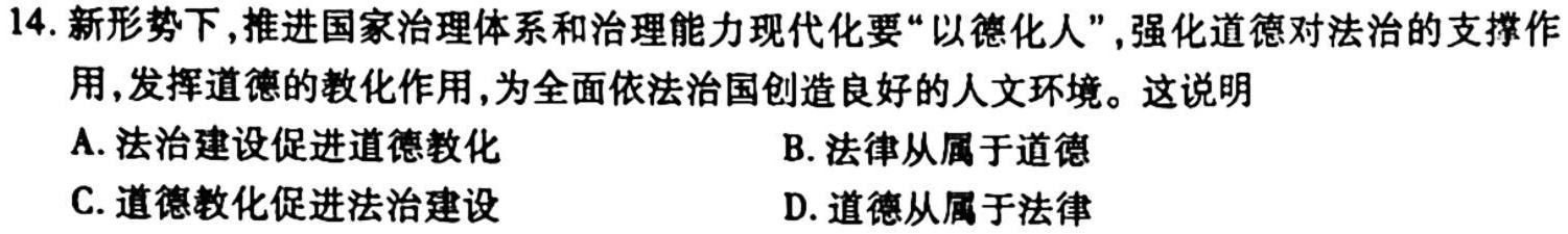 2023年高考桂林河池防城港市联合调研考试历史