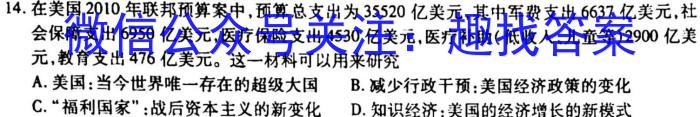 安徽省九年级2022-2023学年新课标闯关卷（十）AH历史