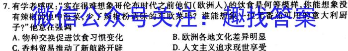 江西省2023届九年级江西中考总复习模拟卷（二）历史