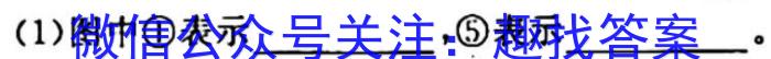【凉山二诊】凉山州2023届高中毕业班第二次诊断性检测生物试卷答案